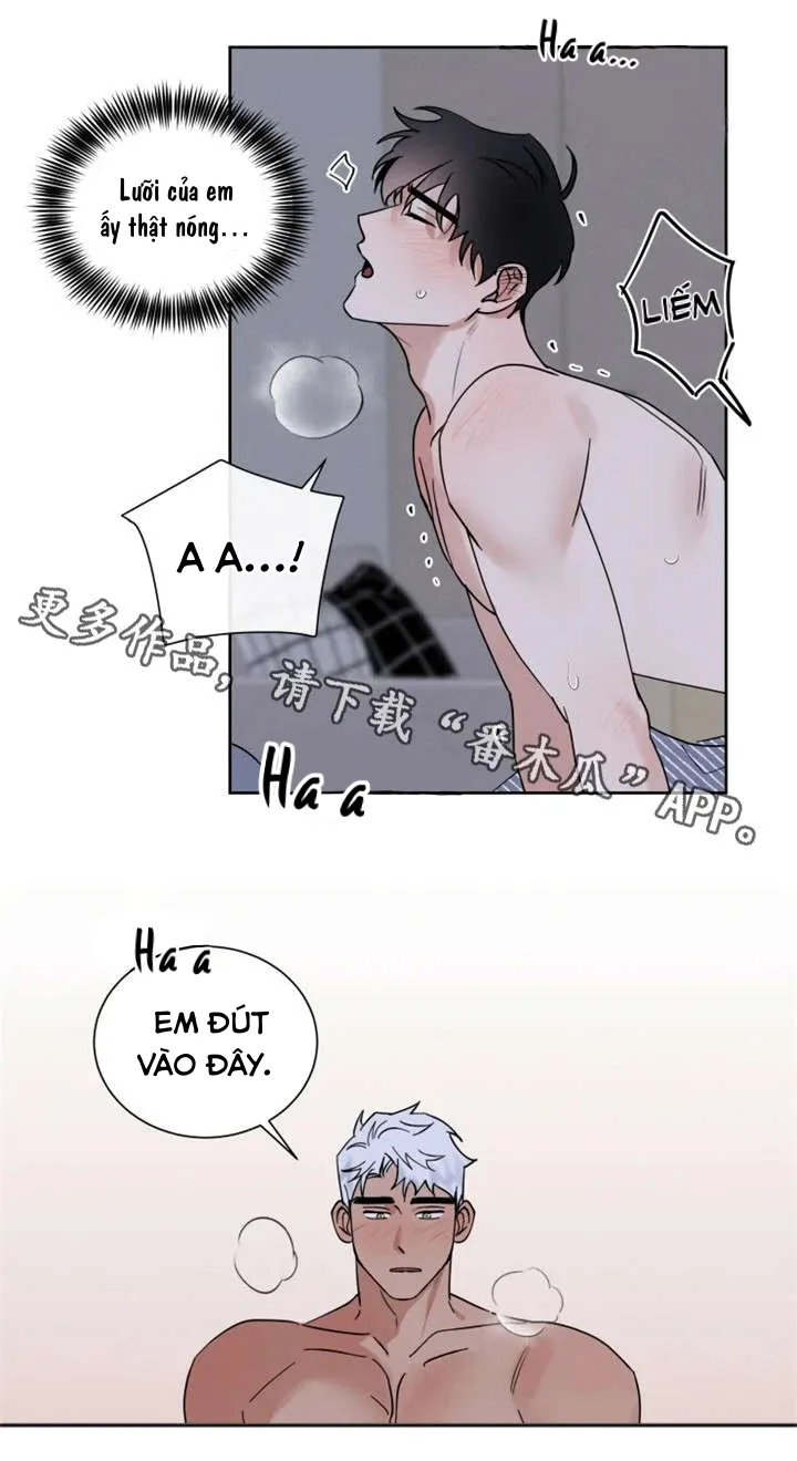 Sự Cứu Rỗi Tội Lỗi DROP Chapter 13 Trang 4