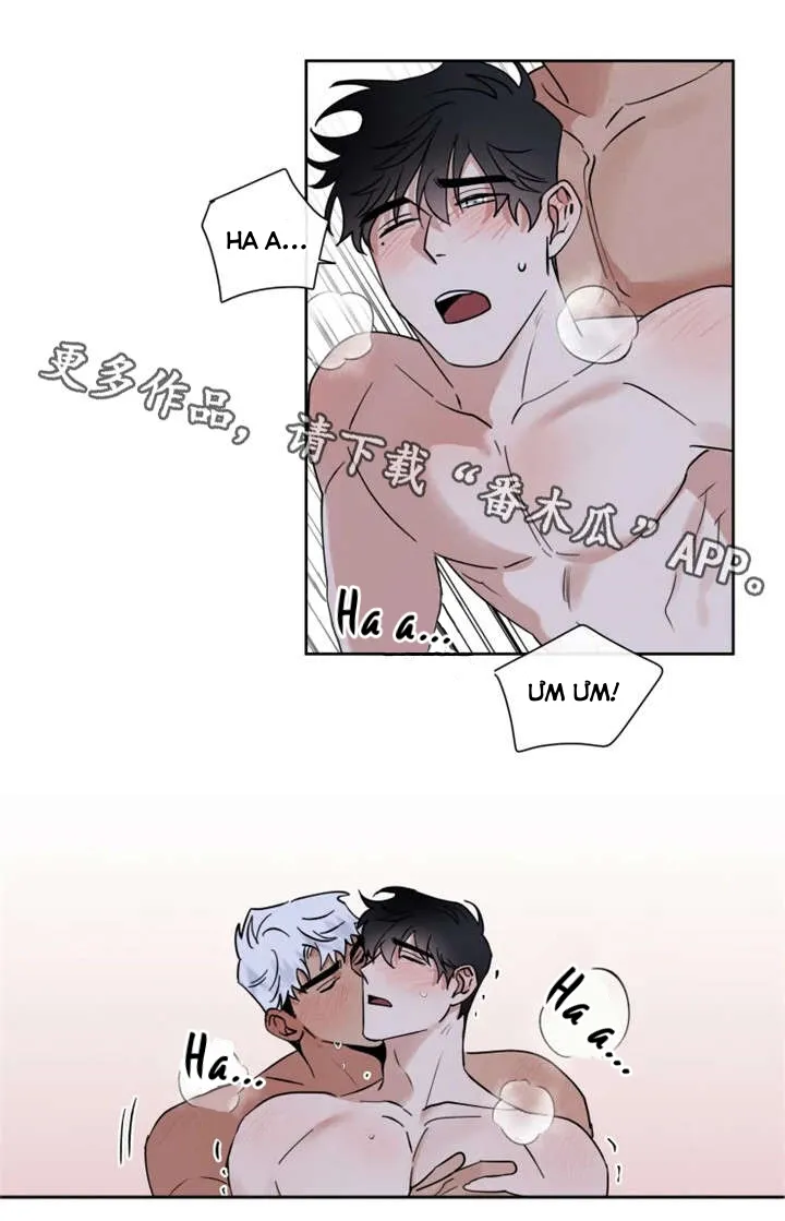 Sự Cứu Rỗi Tội Lỗi DROP Chapter 13 Trang 6