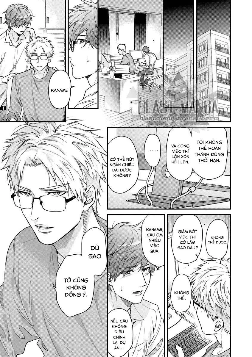 Sự Ghen Tuông Của Hoa Cúc (END) Chapter 3 Trang 19