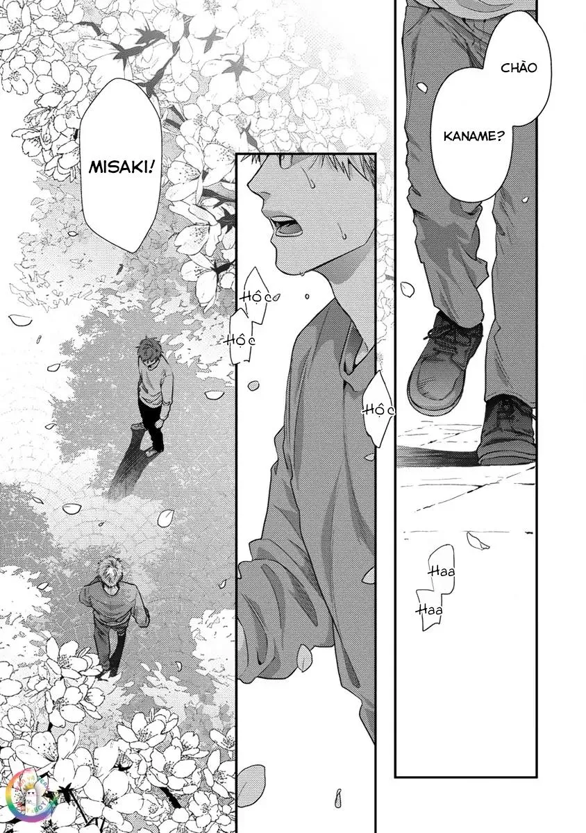 Sự Ghen Tuông Của Hoa Cúc (END) Chapter 7 Trang 24