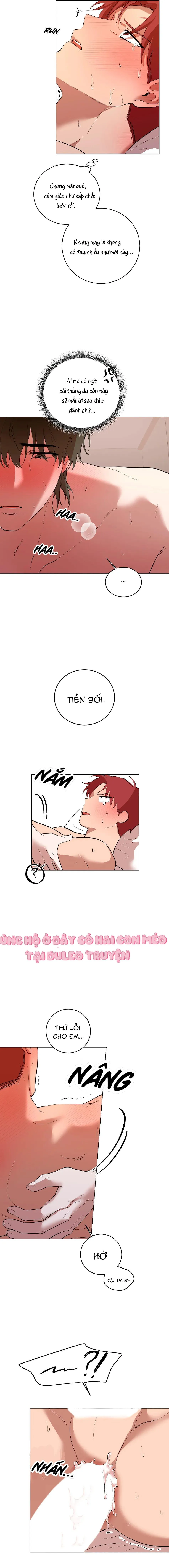 Sự Hiểu Lầm Chapter 5 Trang 4