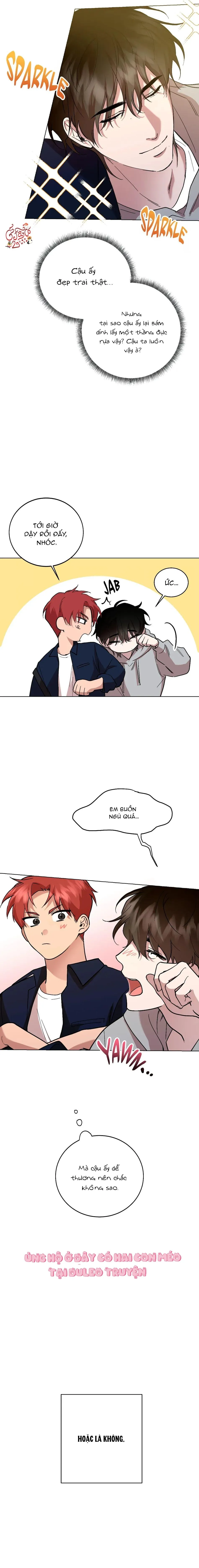 Sự Hiểu Lầm Chapter 1 Trang 11