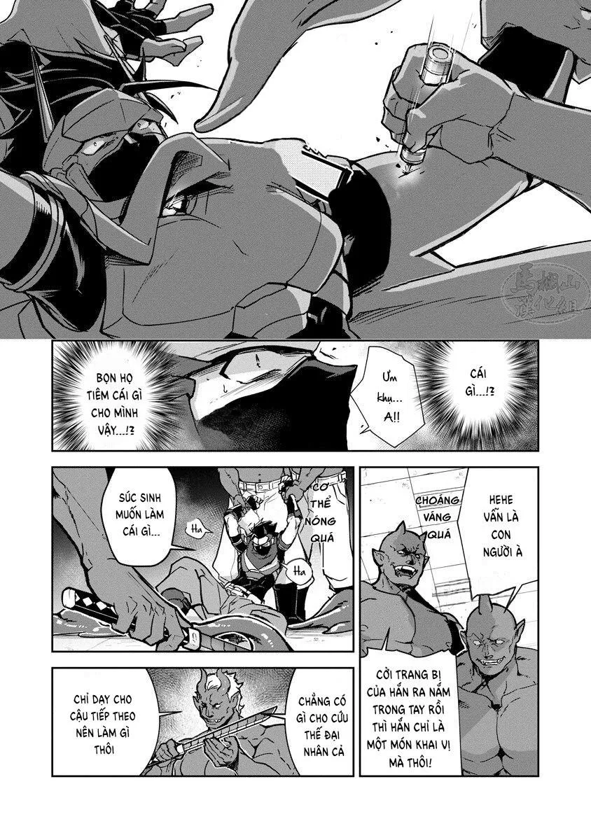 Sự Hổ Thẹn Của Anh Hùng Chapter 1 Trang 17