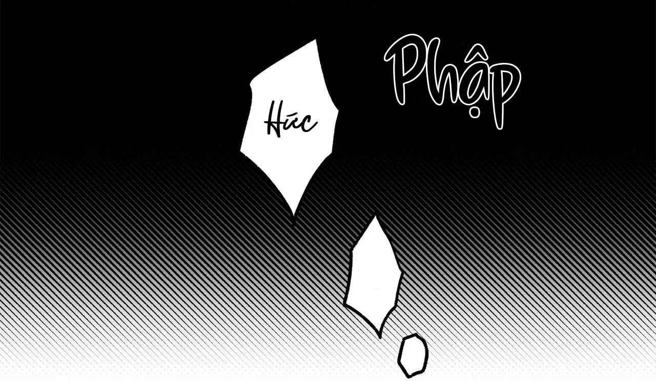 Sự kết hợp hoàn hảo Chapter 11 Trang 36