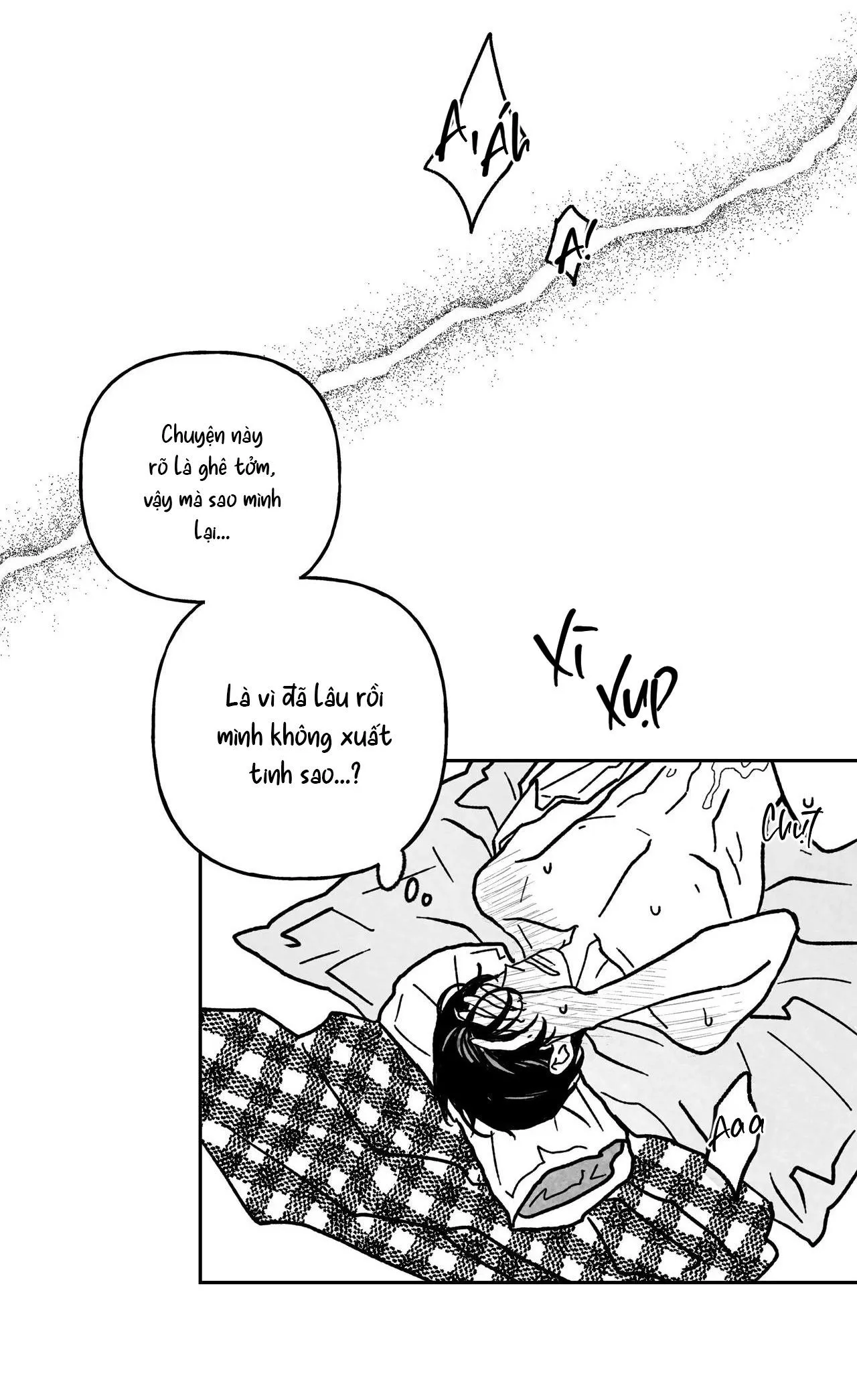 Sự kết hợp hoàn hảo Chapter 12 Trang 11