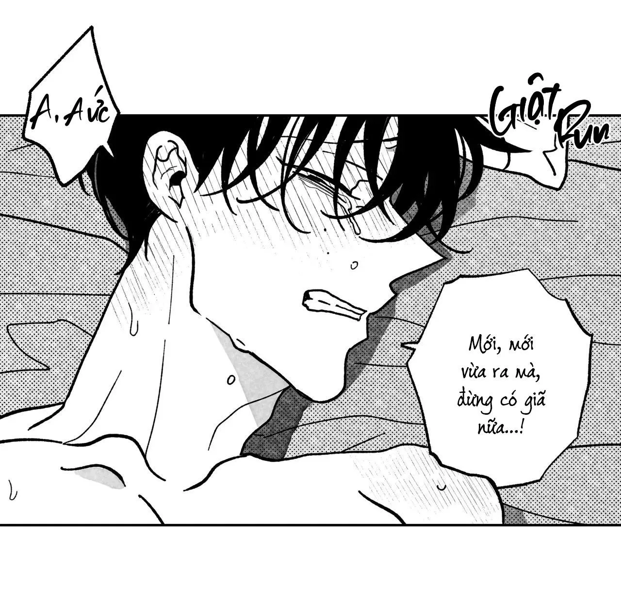 Sự kết hợp hoàn hảo Chapter 12 Trang 35