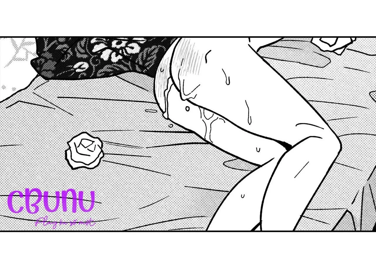 Sự kết hợp hoàn hảo Chapter 15 Trang 63