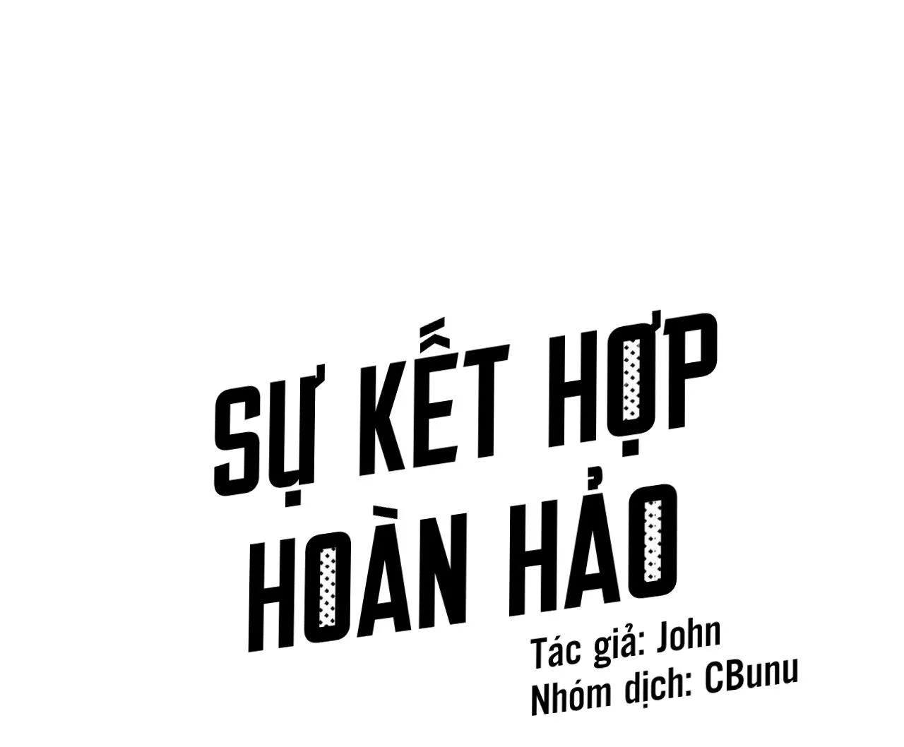 Sự kết hợp hoàn hảo Chapter 17 Trang 3