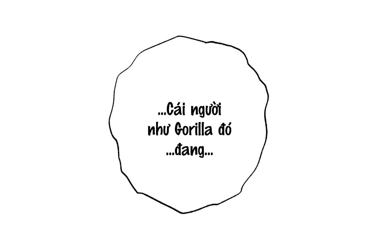 Sự kết hợp hoàn hảo Chapter 17 Trang 25