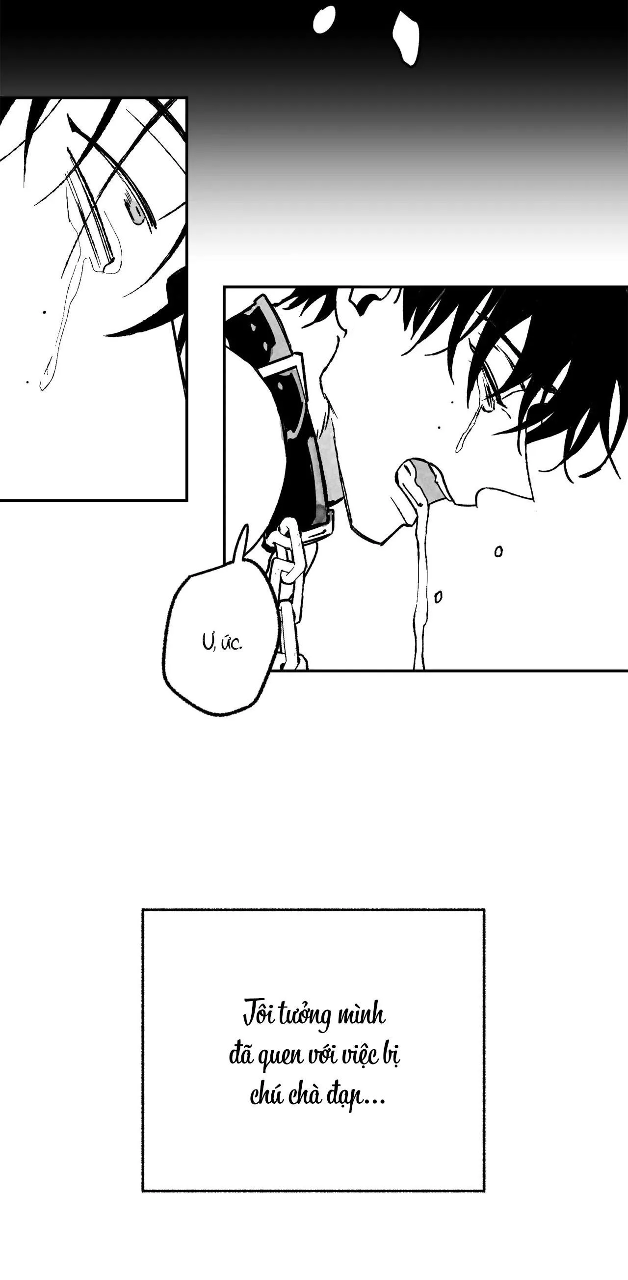 Sự kết hợp hoàn hảo Chapter 25 Trang 12