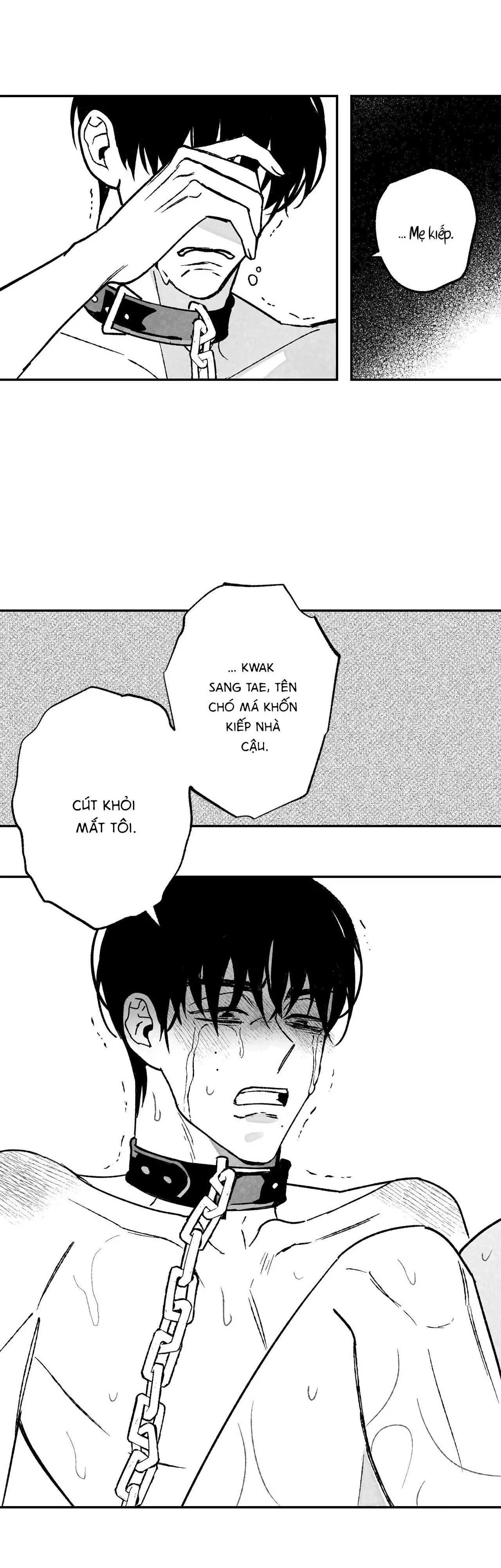 Sự kết hợp hoàn hảo Chapter 25 Trang 24