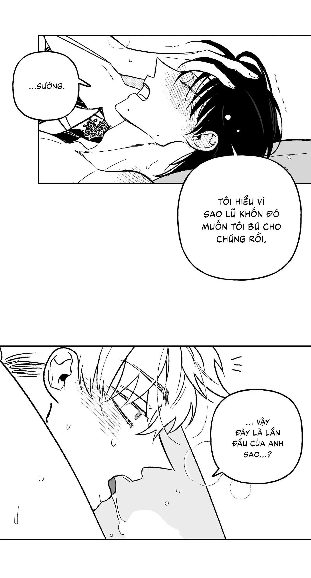 Sự kết hợp hoàn hảo Chapter 31 Trang 4