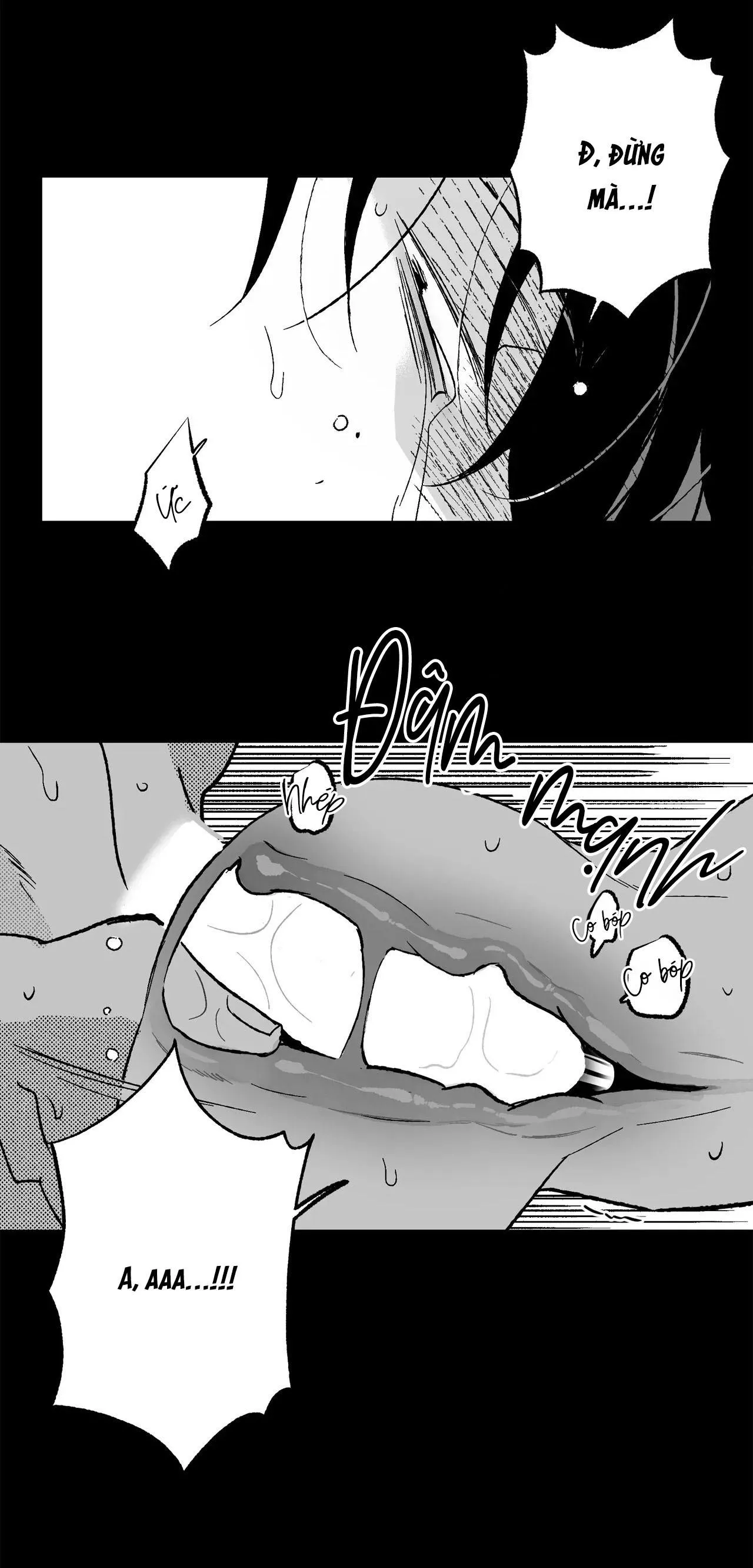 Sự kết hợp hoàn hảo Chapter 31 Trang 19