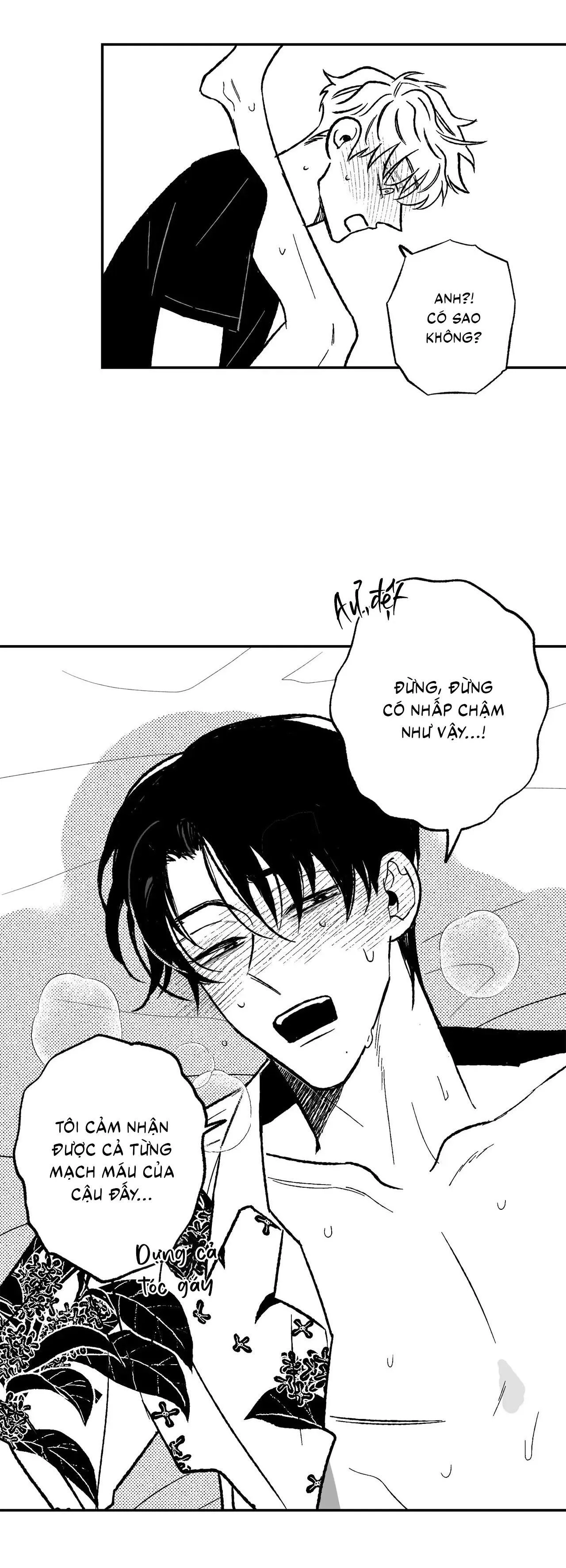 Sự kết hợp hoàn hảo Chapter 32 Trang 12