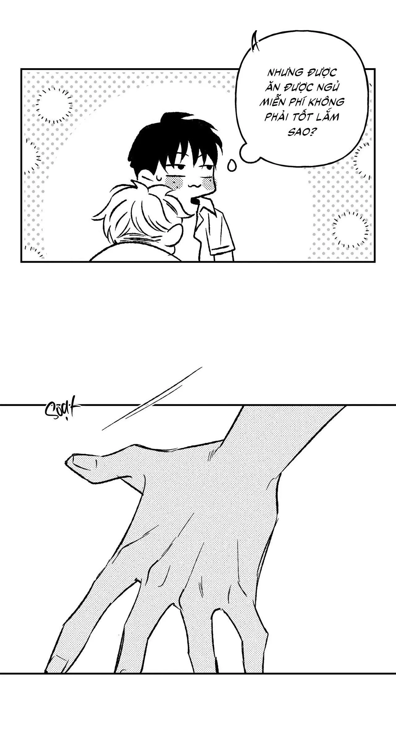 Sự kết hợp hoàn hảo Chapter 33 Trang 28