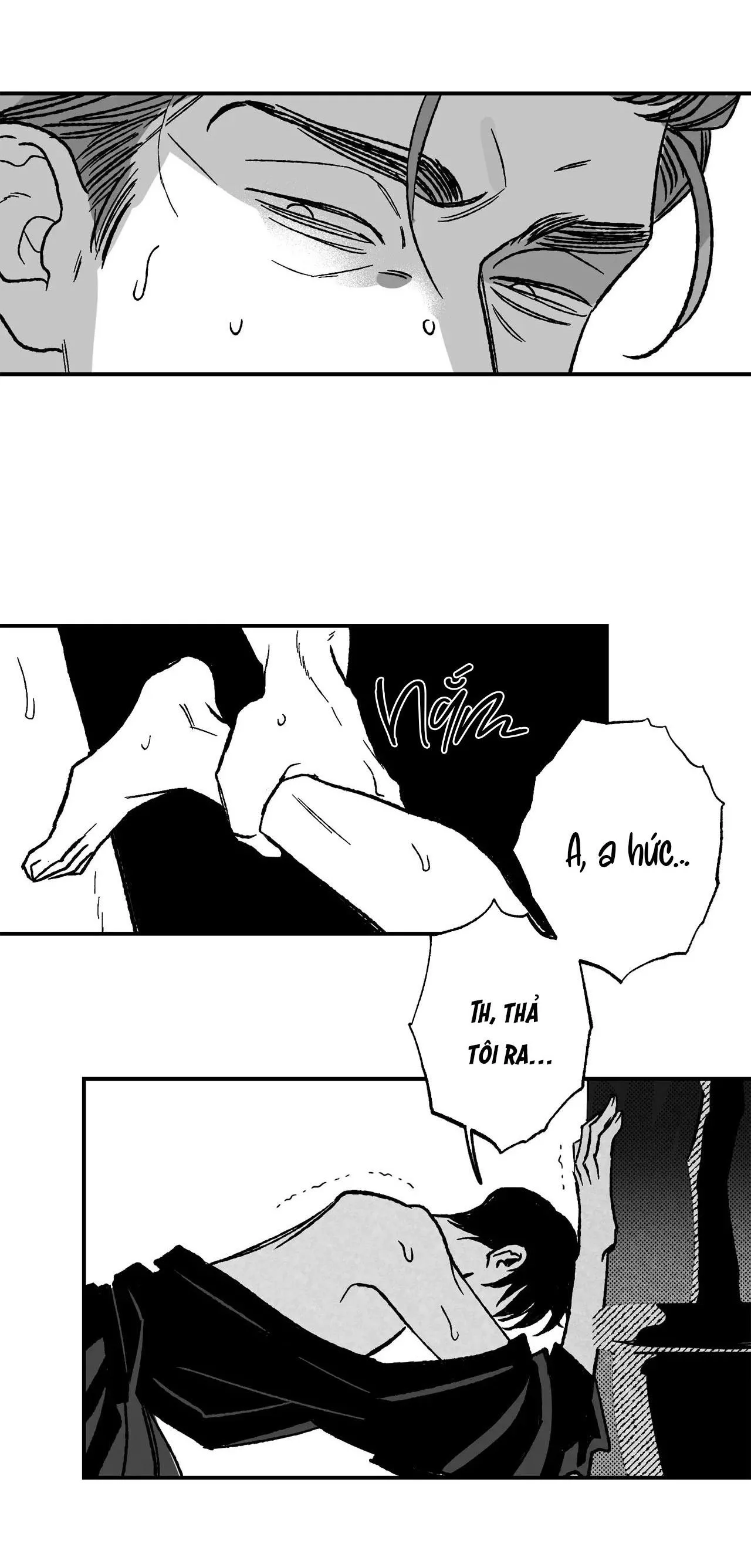 Sự kết hợp hoàn hảo Chapter 38 Trang 4