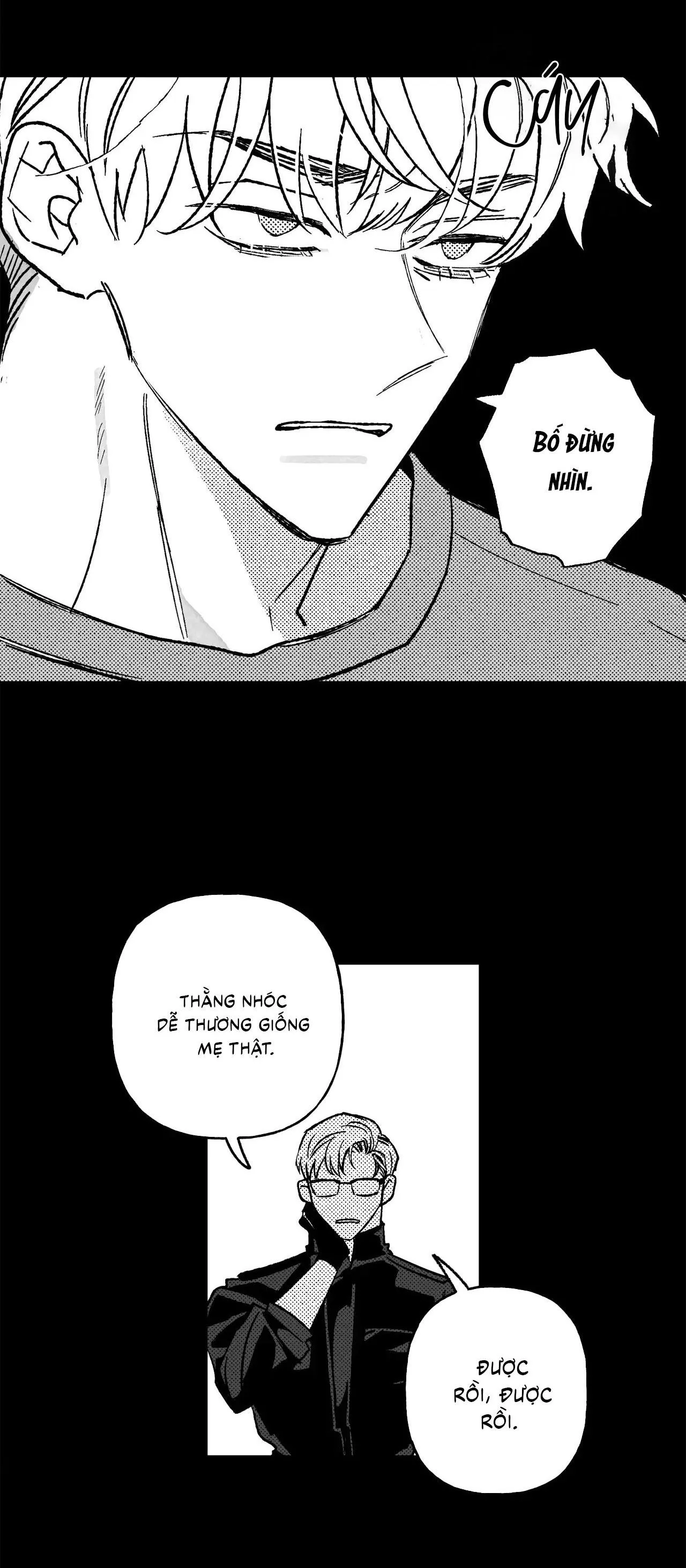 Sự kết hợp hoàn hảo Chapter 39 Trang 13