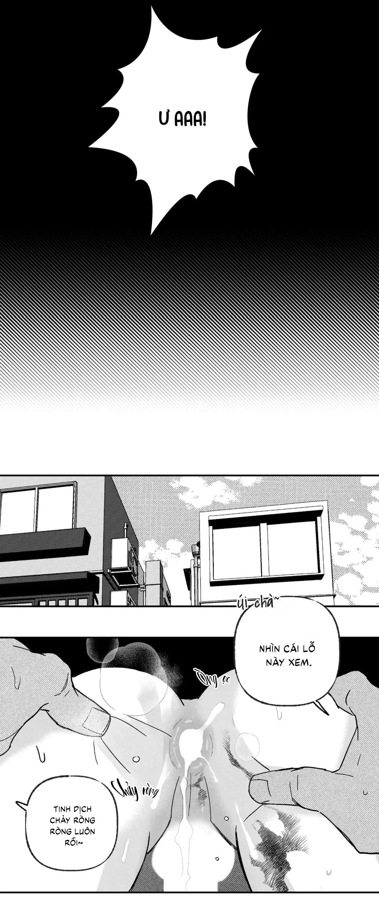 Sự kết hợp hoàn hảo Chapter 40 Trang 14