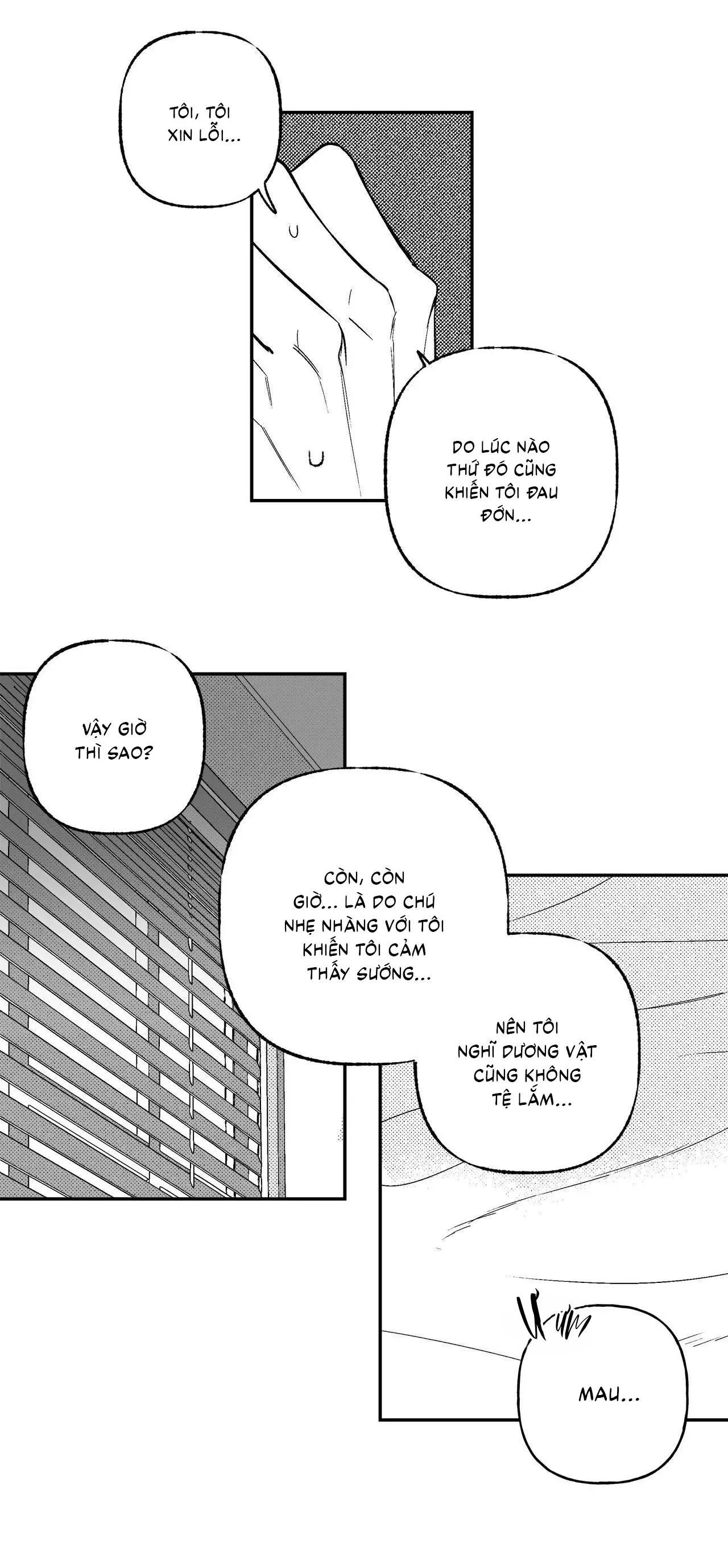 Sự kết hợp hoàn hảo Chapter 43 Trang 11