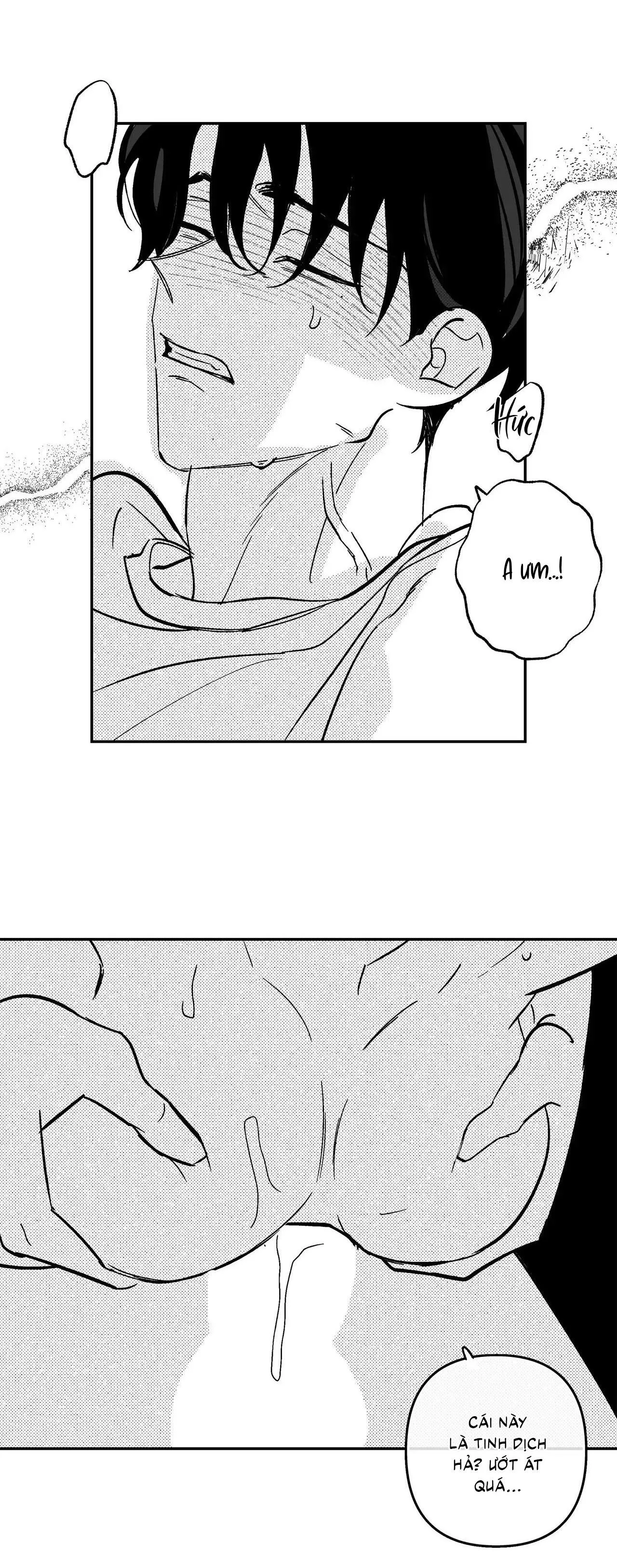 Sự kết hợp hoàn hảo Chapter 47 Trang 14