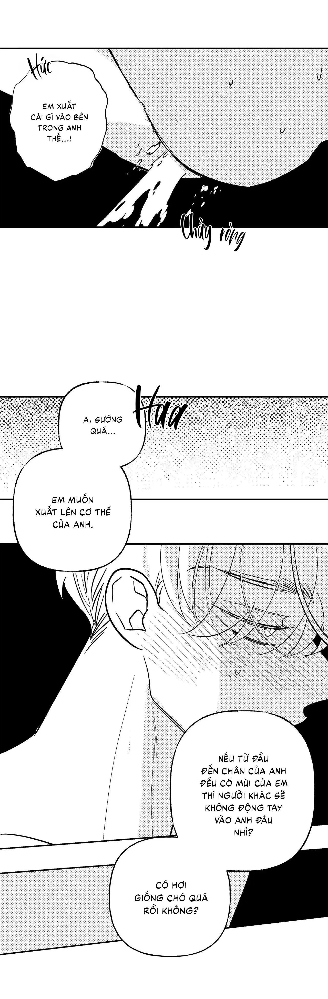 Sự kết hợp hoàn hảo Chapter 47 Trang 19