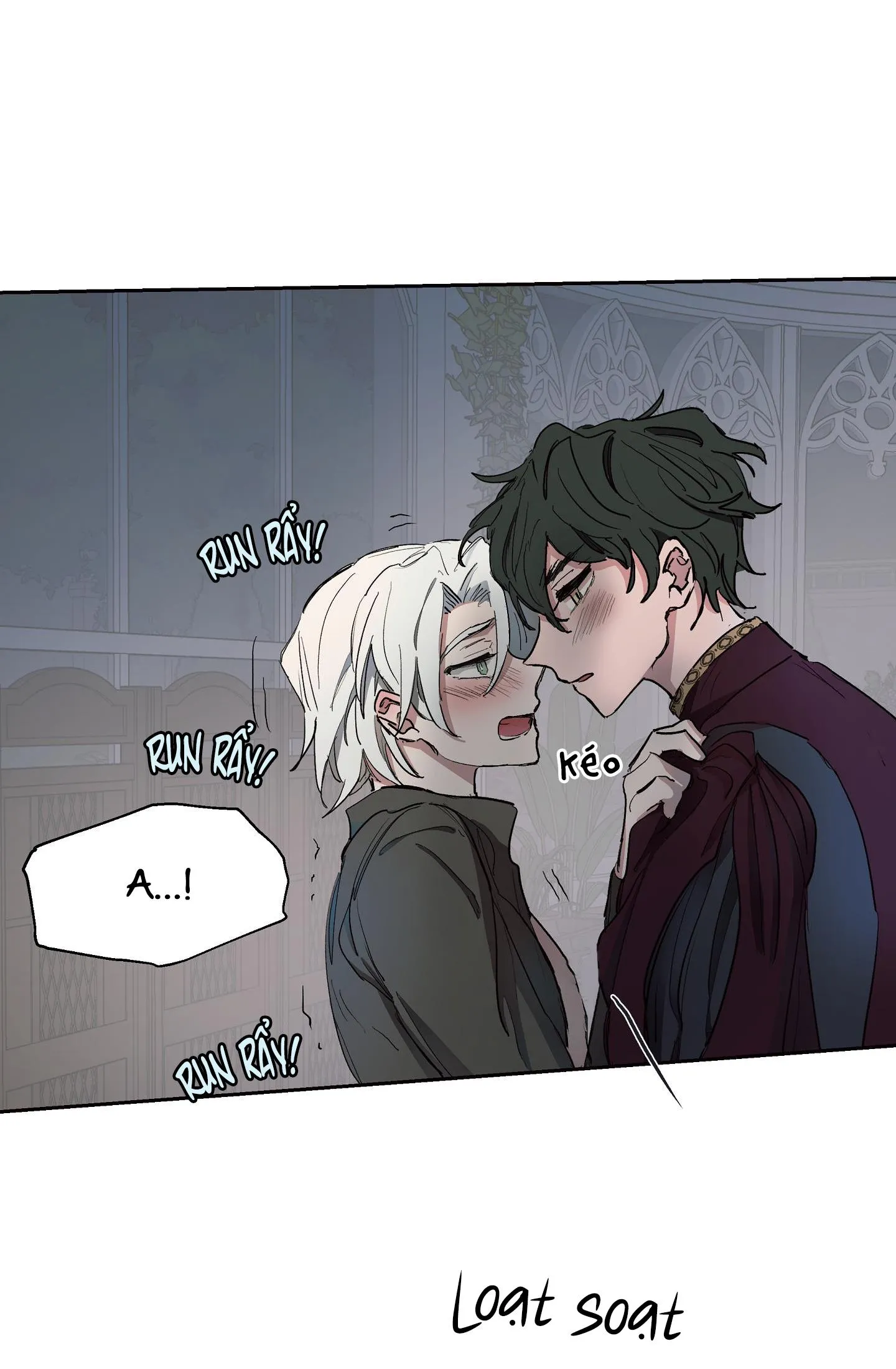 SỰ KIÊU NGẠO CỦA OTTO ĐỆ NHẤT Chapter 3 Trang 9