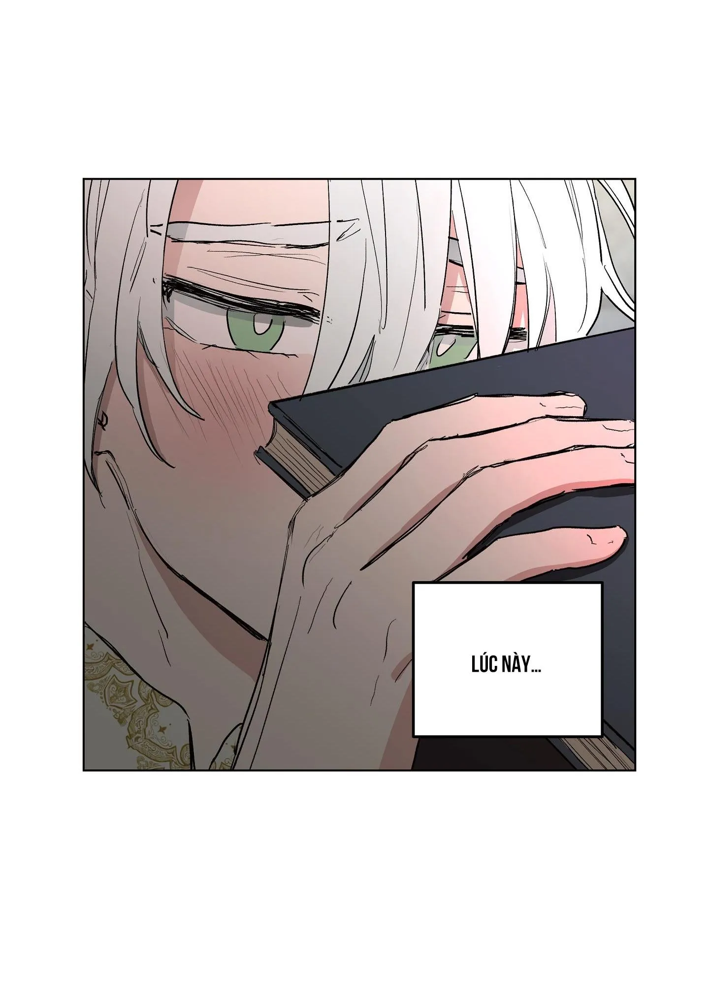 SỰ KIÊU NGẠO CỦA OTTO ĐỆ NHẤT Chapter 8 Trang 49