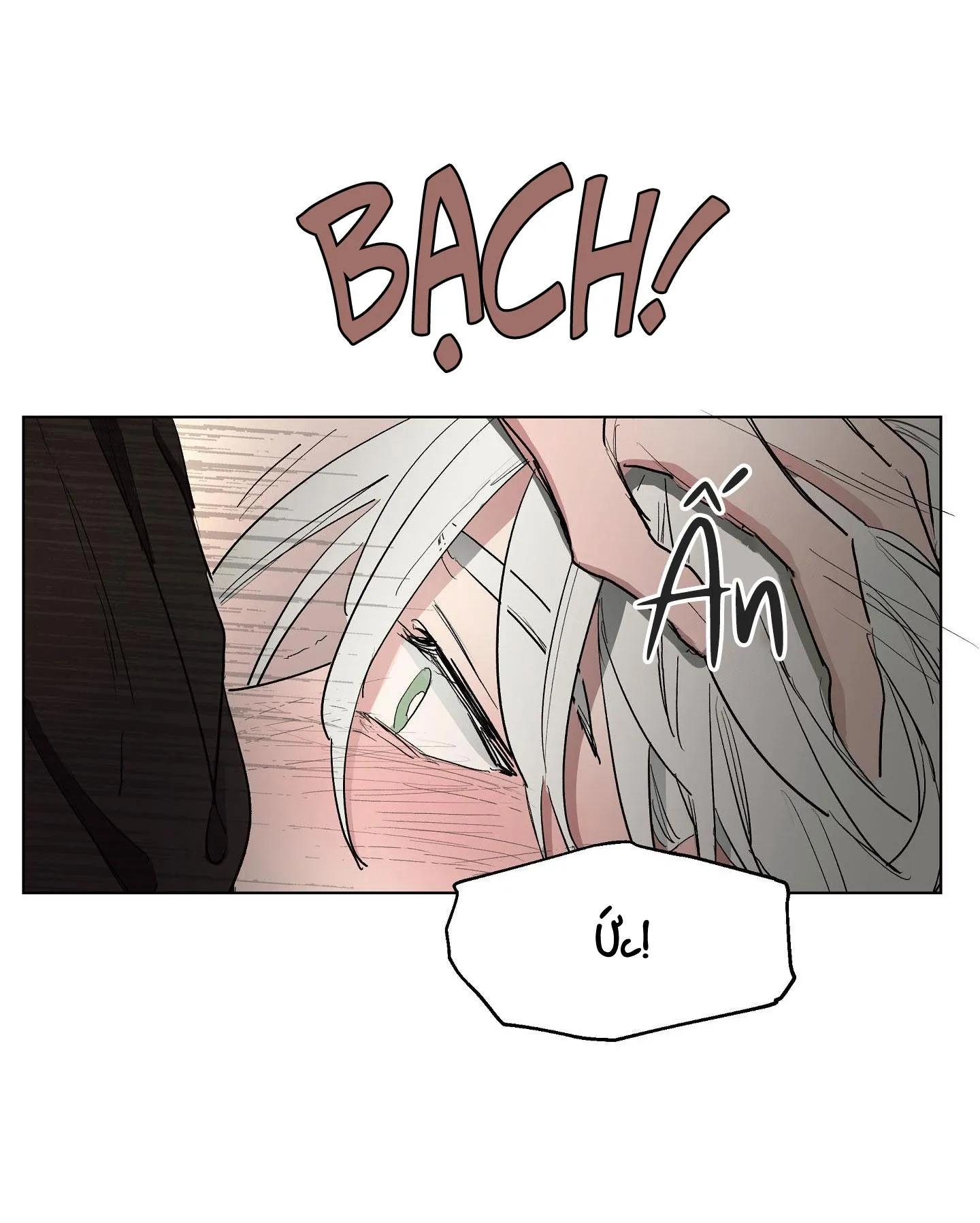 SỰ KIÊU NGẠO CỦA OTTO ĐỆ NHẤT Chapter 10 Trang 9