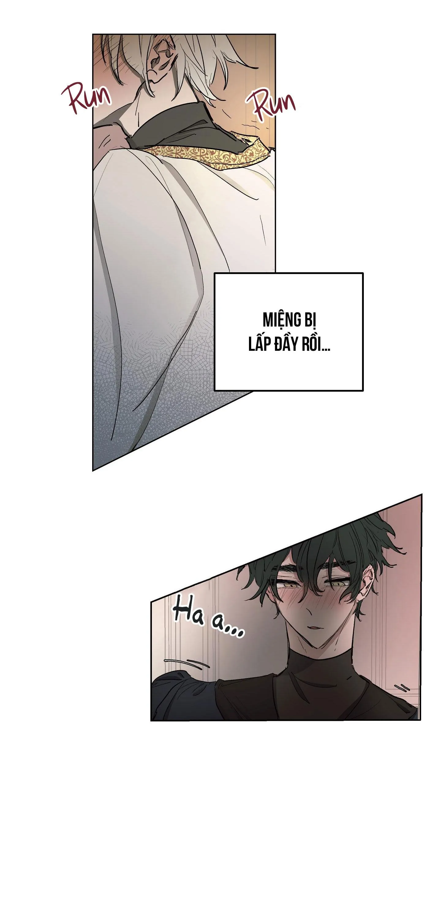 SỰ KIÊU NGẠO CỦA OTTO ĐỆ NHẤT Chapter 10 Trang 10