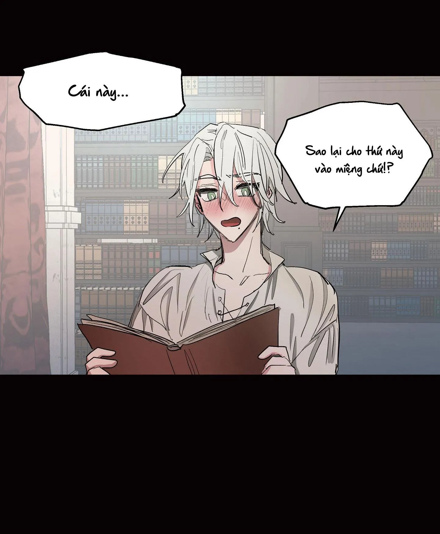 SỰ KIÊU NGẠO CỦA OTTO ĐỆ NHẤT Chapter 10 Trang 13