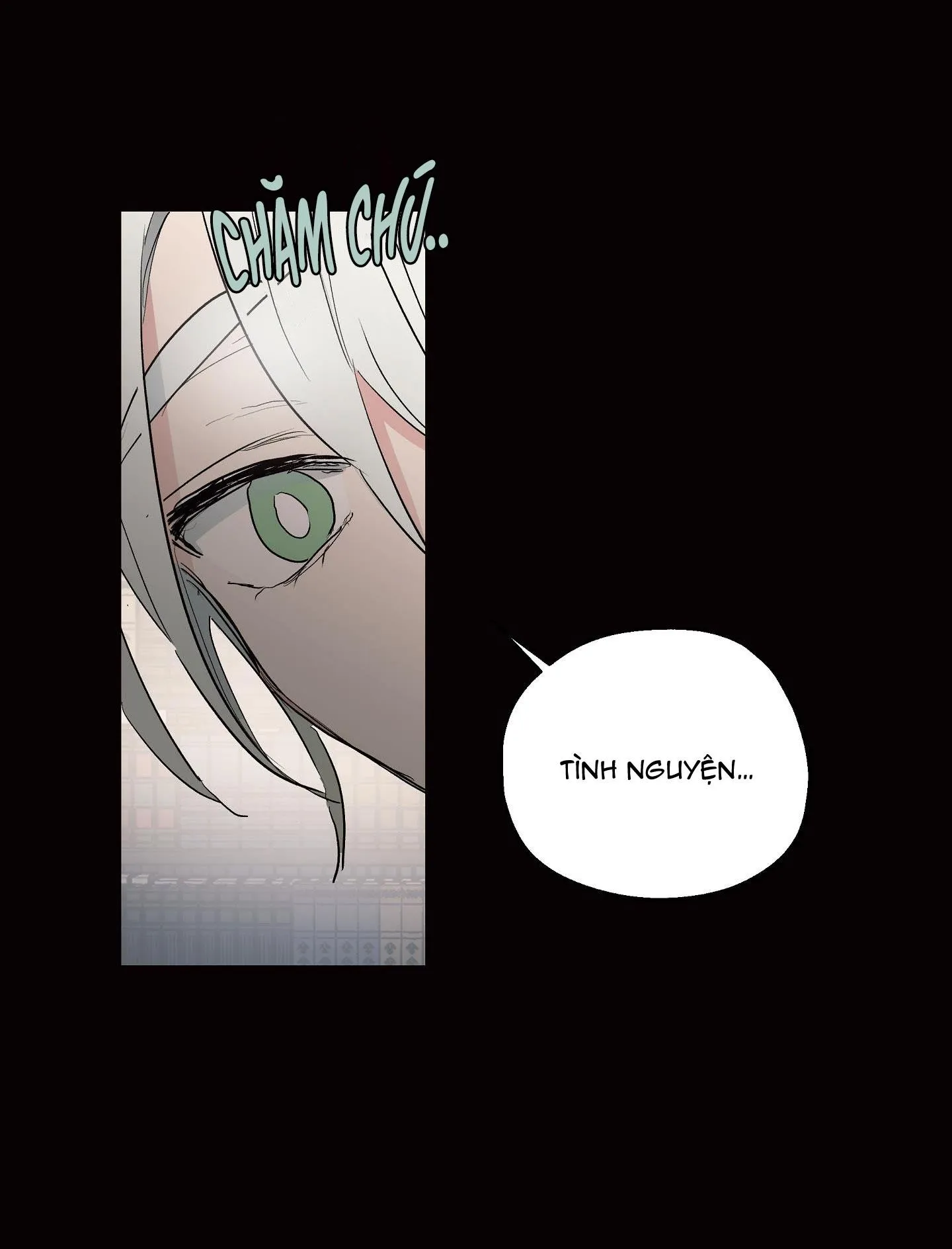 SỰ KIÊU NGẠO CỦA OTTO ĐỆ NHẤT Chapter 10 Trang 19