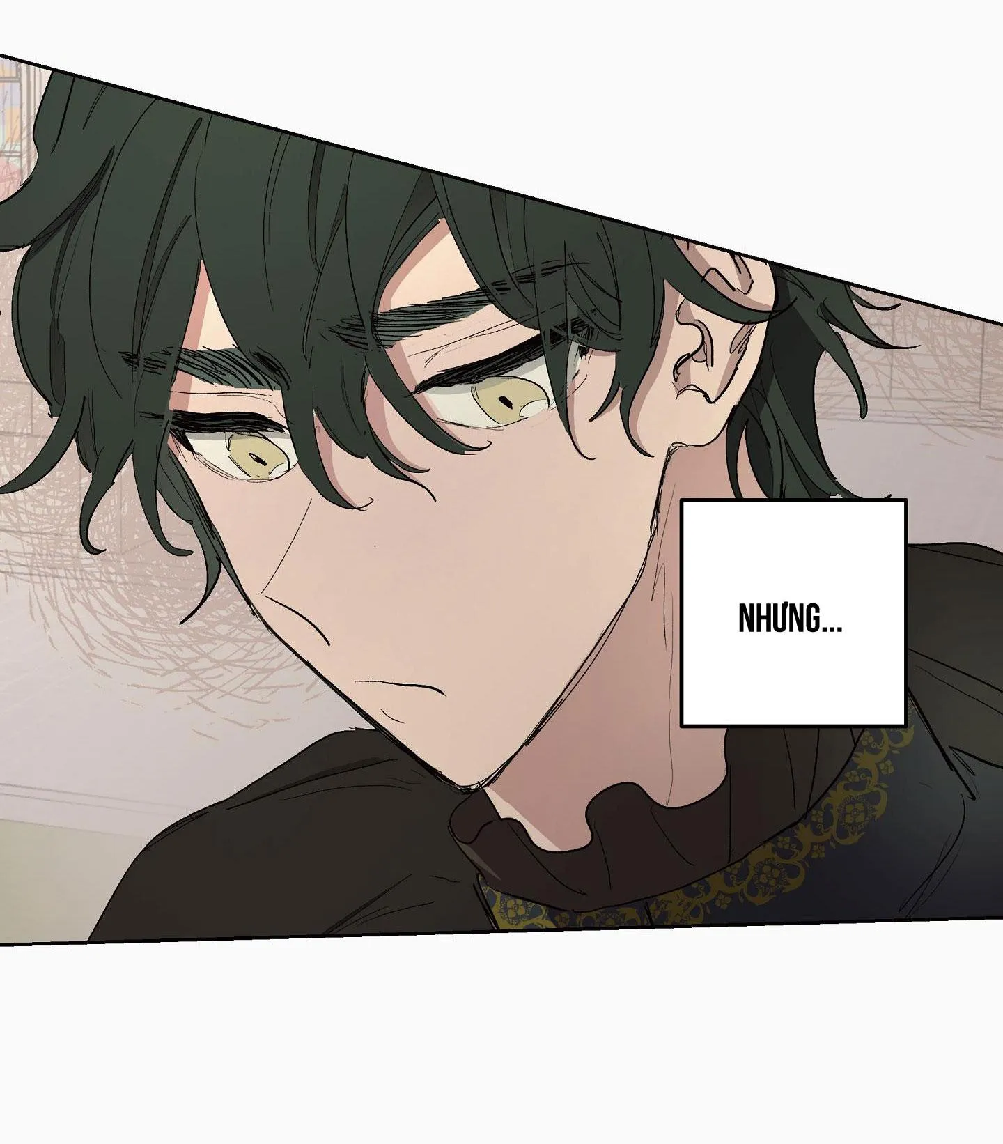 SỰ KIÊU NGẠO CỦA OTTO ĐỆ NHẤT Chapter 14 Trang 20