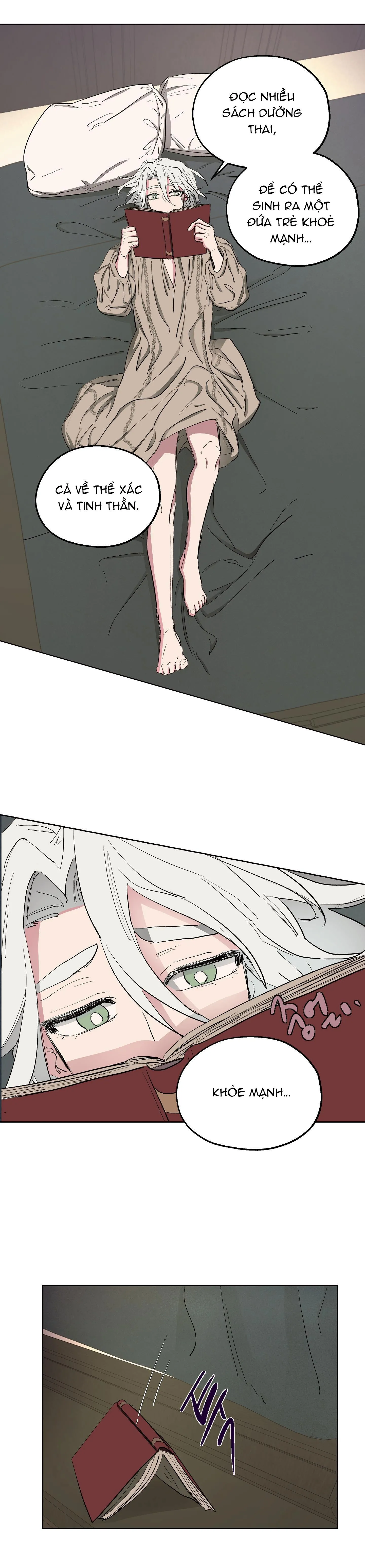 SỰ KIÊU NGẠO CỦA OTTO ĐỆ NHẤT Chapter 19 Trang 9