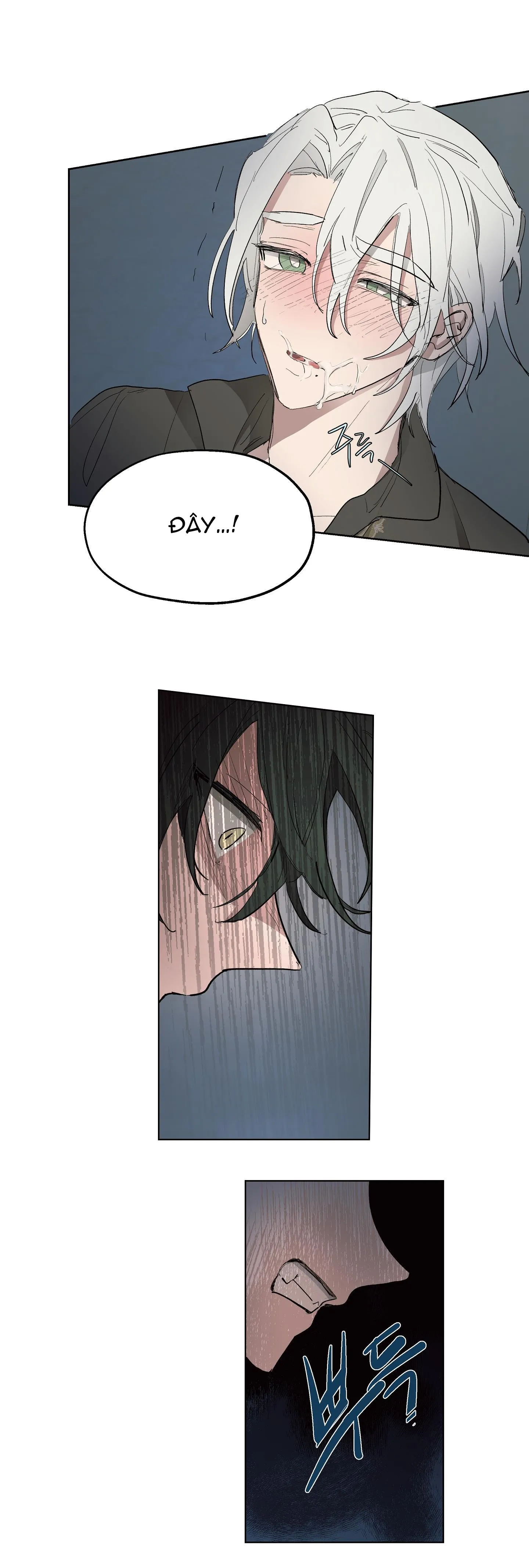 SỰ KIÊU NGẠO CỦA OTTO ĐỆ NHẤT Chapter 23 Trang 14