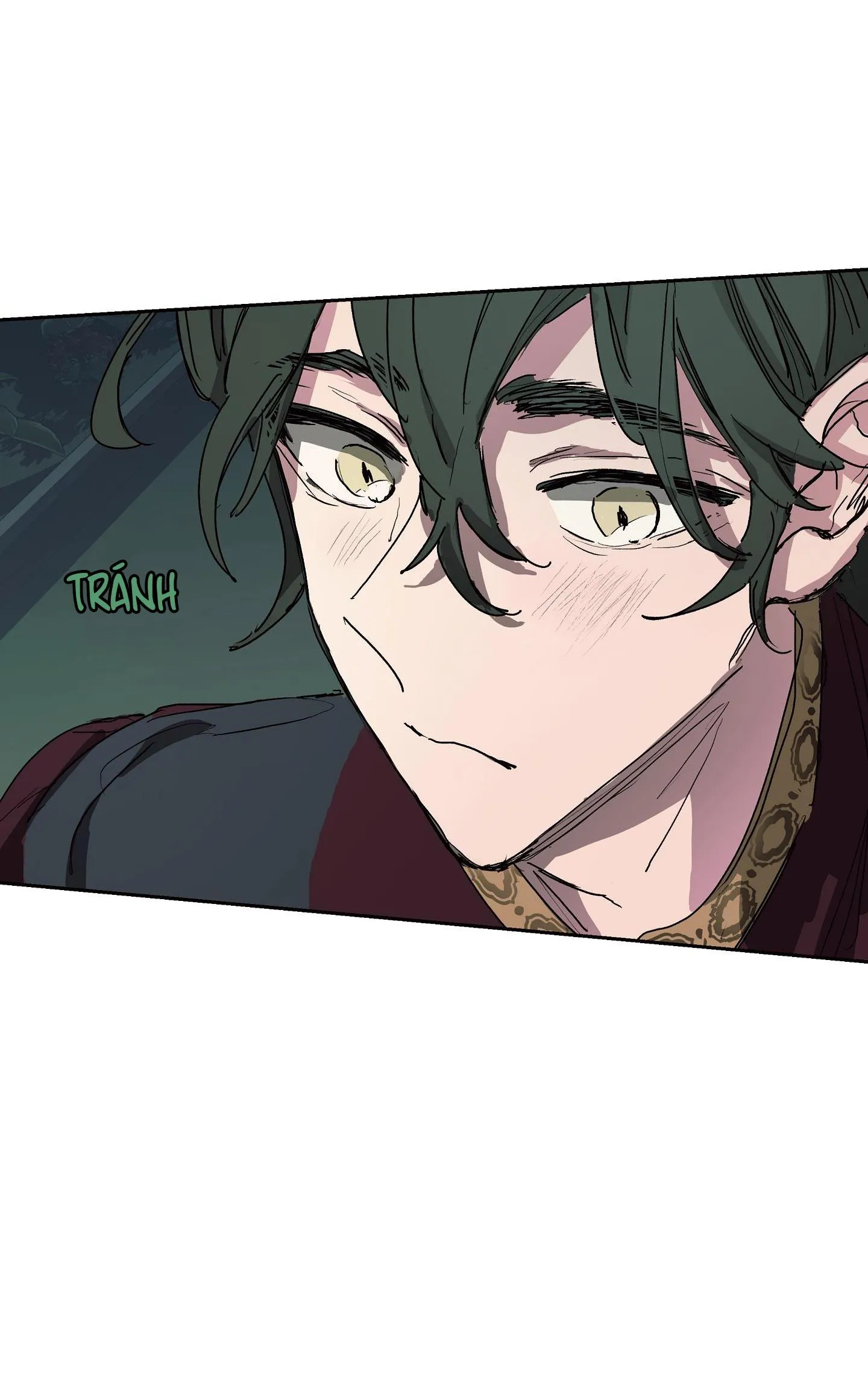 SỰ KIÊU NGẠO CỦA OTTO ĐỆ NHẤT Chapter 1 Trang 53