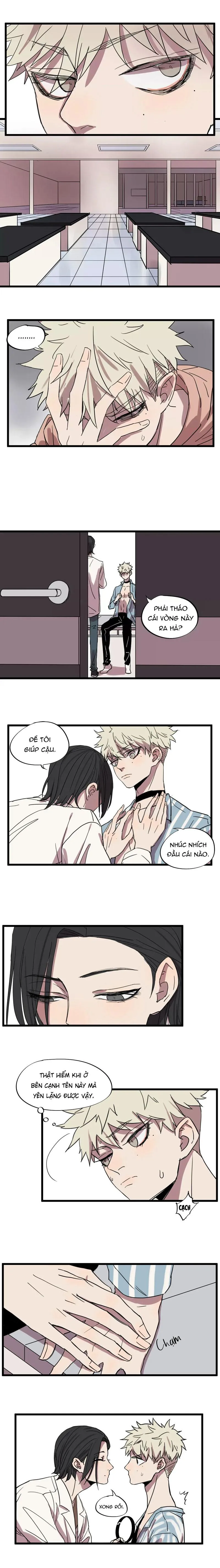 Sự Lạnh Lùng Của Tôi Chapter 9 Trang 7