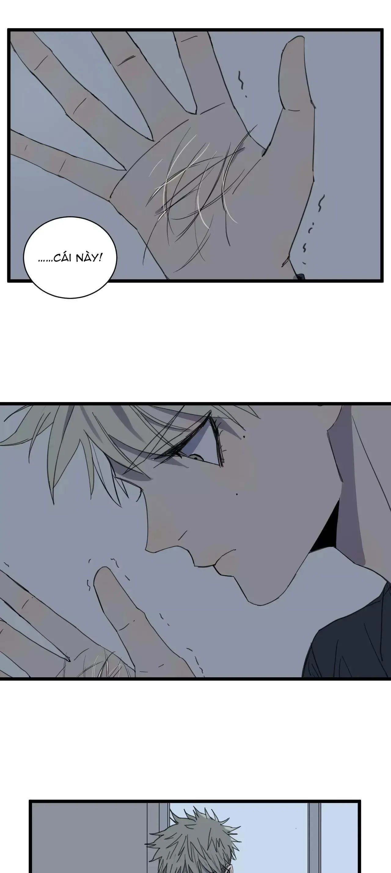 Sự Lạnh Lùng Của Tôi Chapter 17 Trang 5