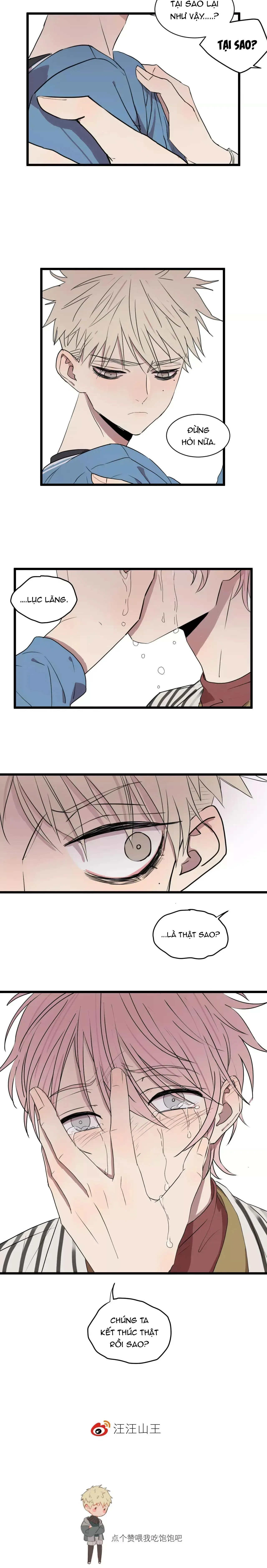 Sự Lạnh Lùng Của Tôi Chapter 18 Trang 12