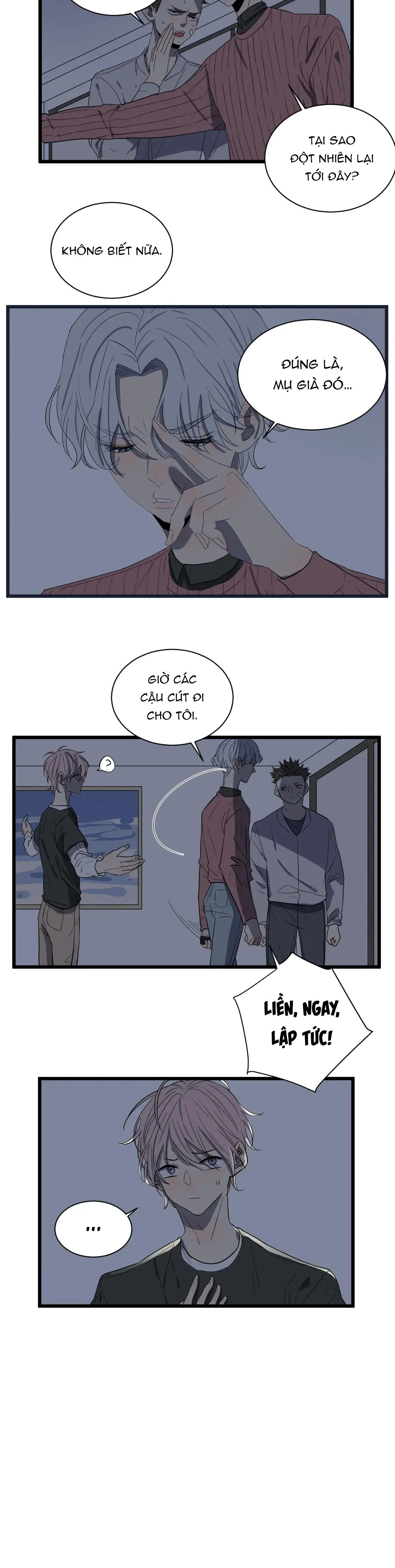 Sự Lạnh Lùng Của Tôi Chapter 36 Trang 4