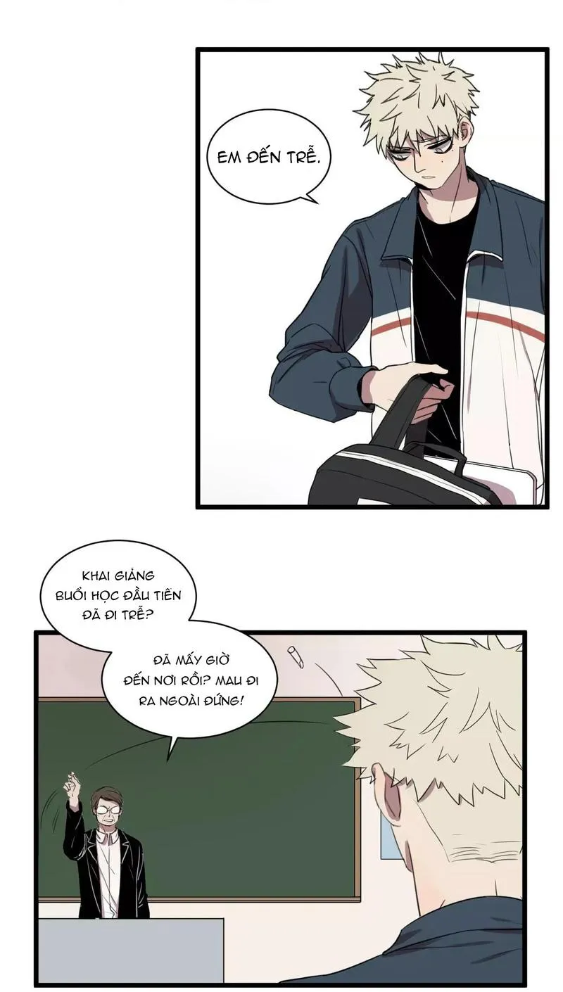 Sự Lạnh Lùng Của Tôi Chapter 1 Trang 20