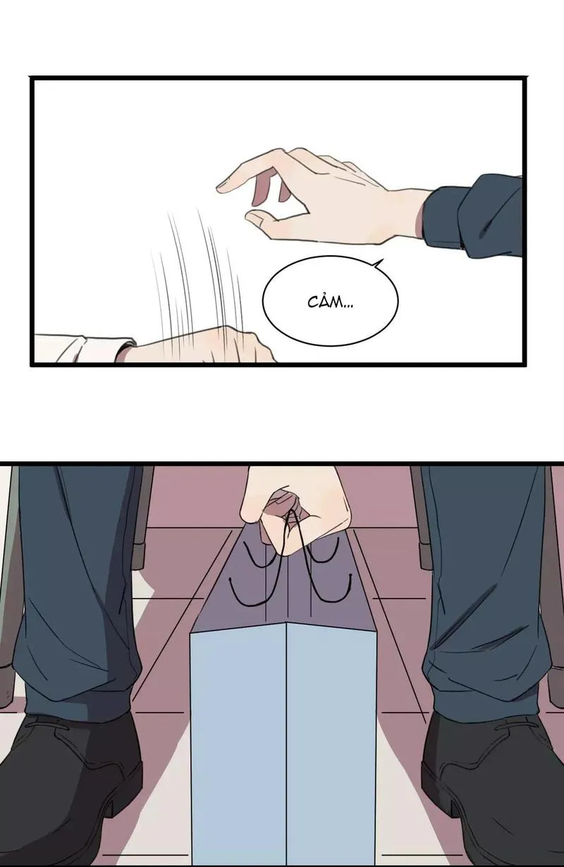 Sự Lạnh Lùng Của Tôi Chapter 1 Trang 41