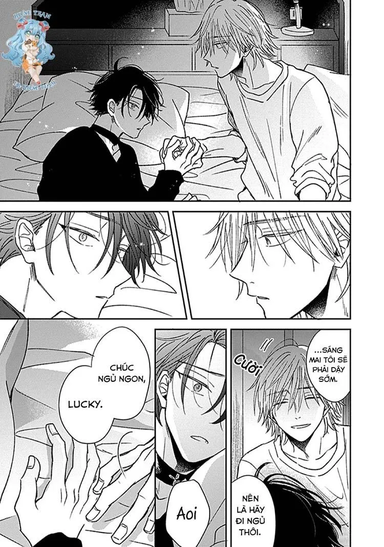 Full Sự Mê Hoặc Nóng Bỏng Chapter 2 Trang 29