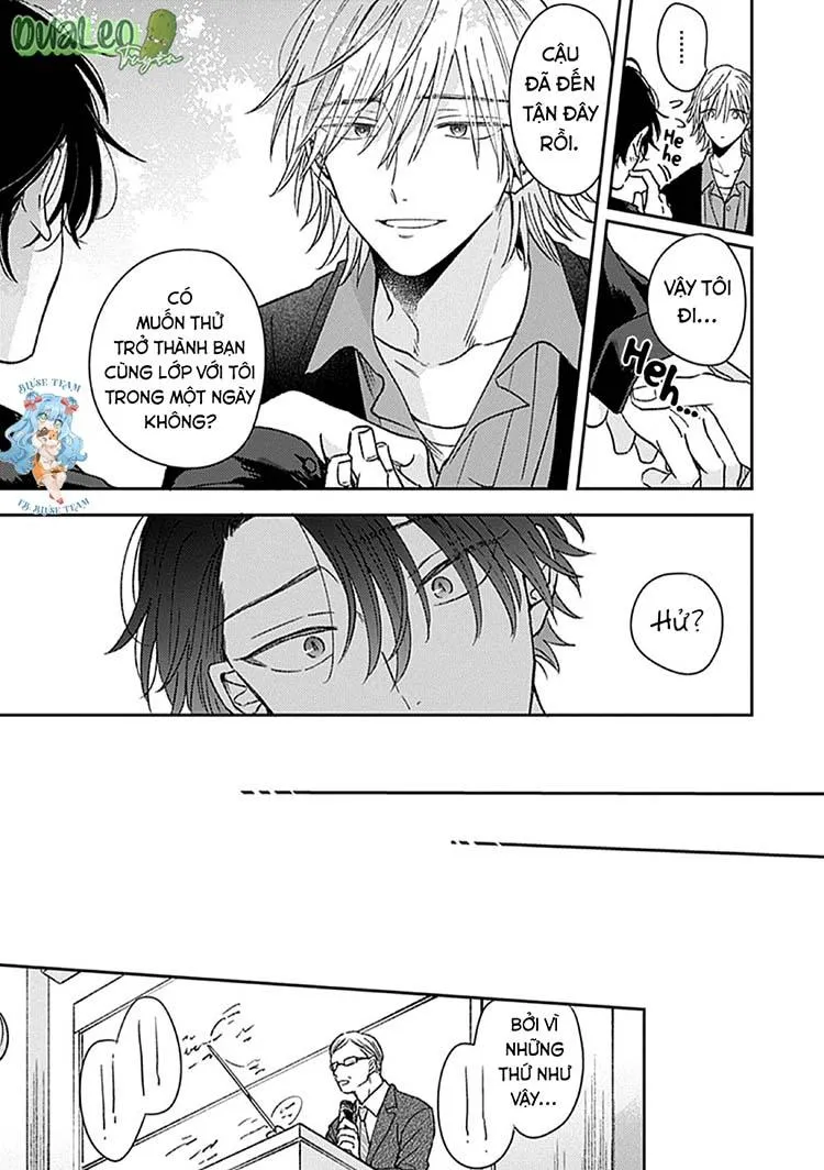 Full Sự Mê Hoặc Nóng Bỏng Chapter 3 Trang 13