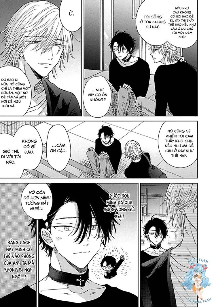 Full Sự Mê Hoặc Nóng Bỏng Chapter 1 Trang 12