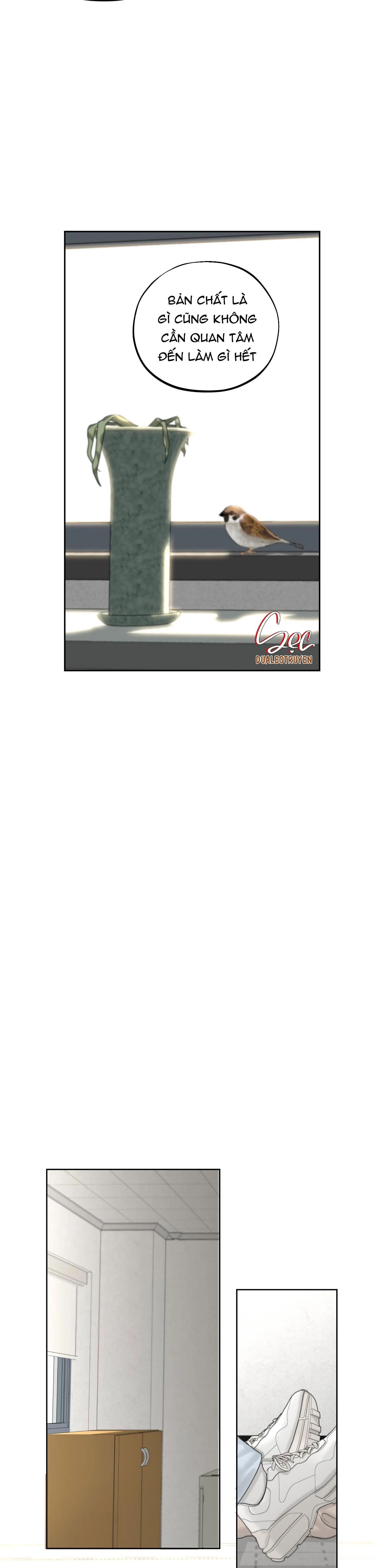 SỰ PHỤ THUỘC GIỮA CỦI VÀ LỬA Chapter 19 Trang 12
