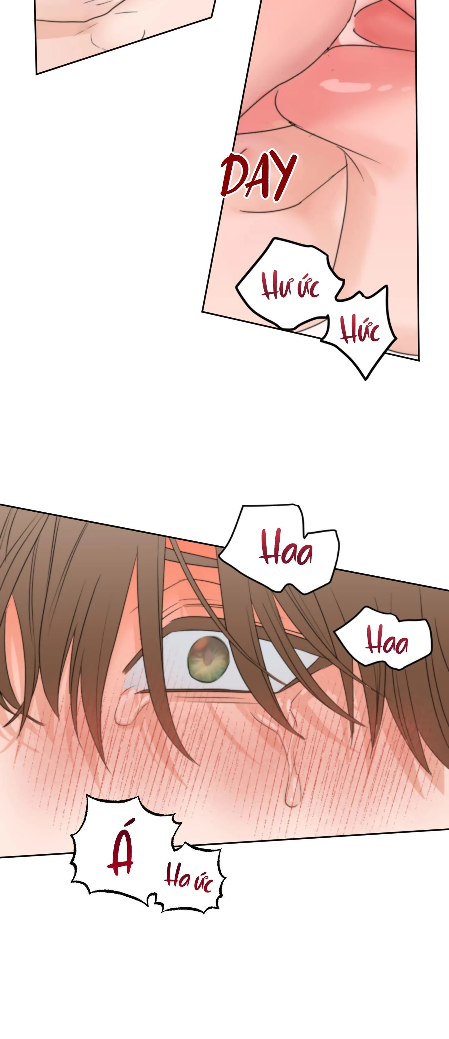 SỰ PHỤ THUỘC GIỮA CỦI VÀ LỬA Chapter 21 Trang 28