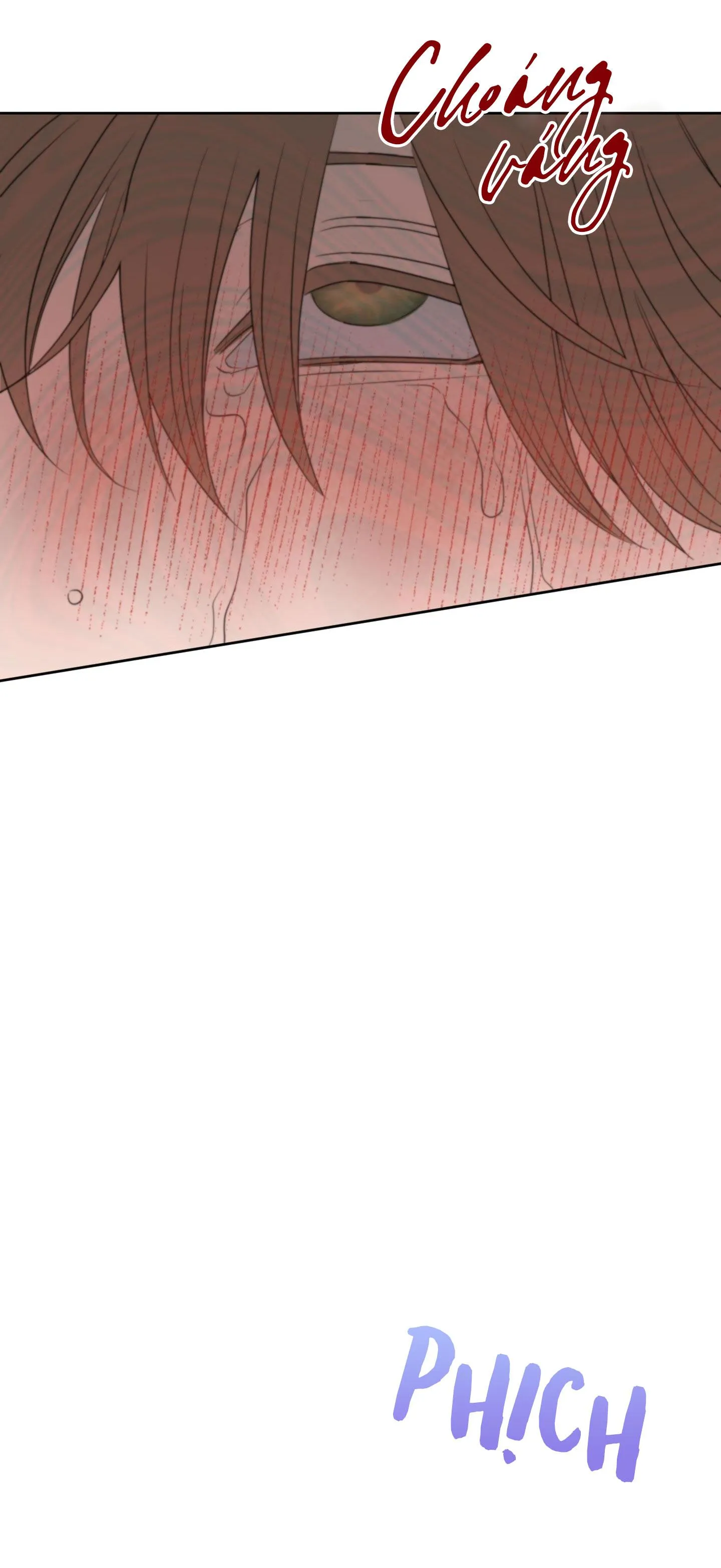 SỰ PHỤ THUỘC GIỮA CỦI VÀ LỬA Chapter 21 Trang 29