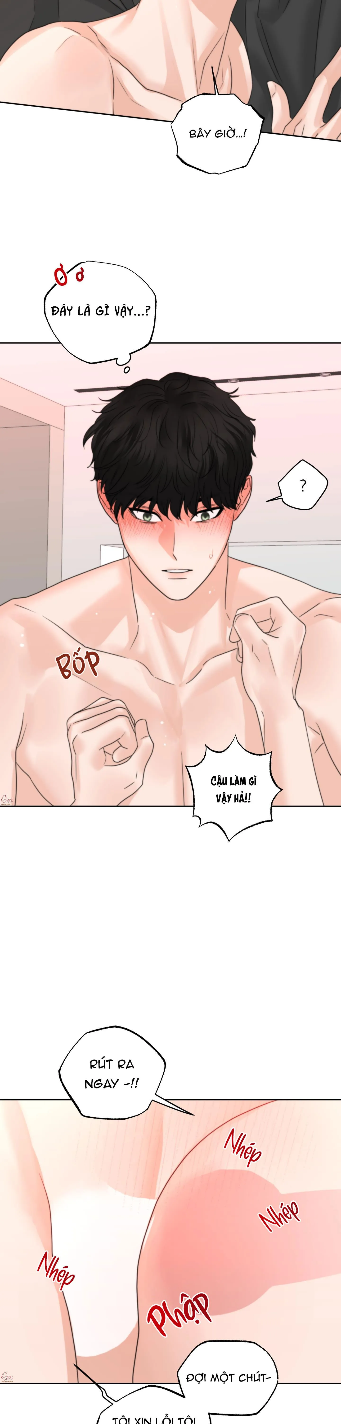 SỰ PHỤ THUỘC GIỮA CỦI VÀ LỬA Chapter 28 Trang 13