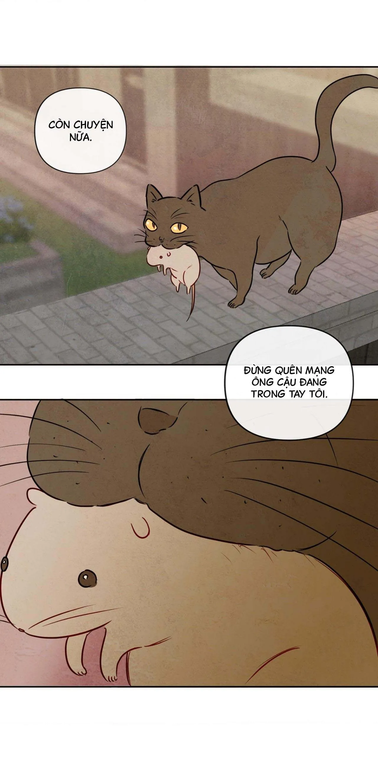 Sự quyến rũ của Thần Rắn Chapter 11 Trang 56