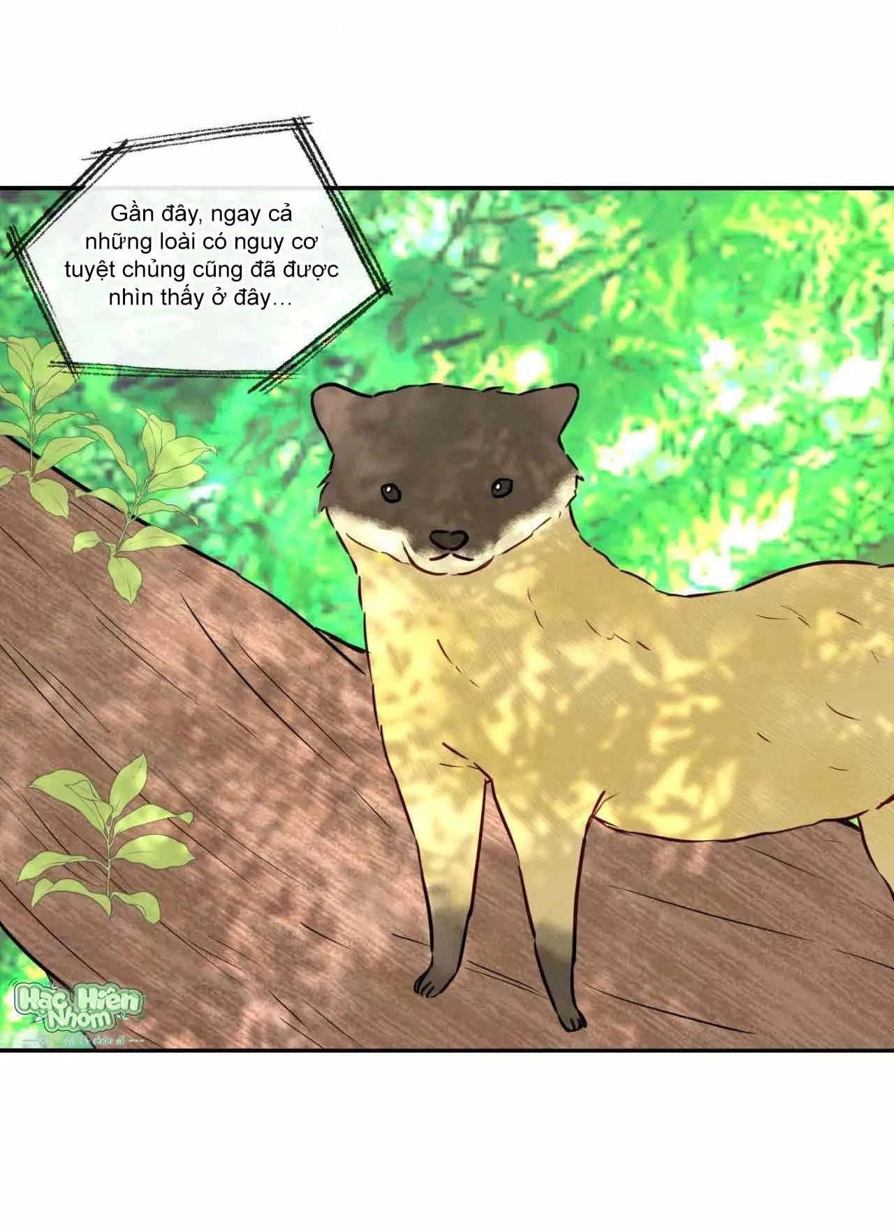 Sự quyến rũ của Thần Rắn Chapter 14 Trang 57